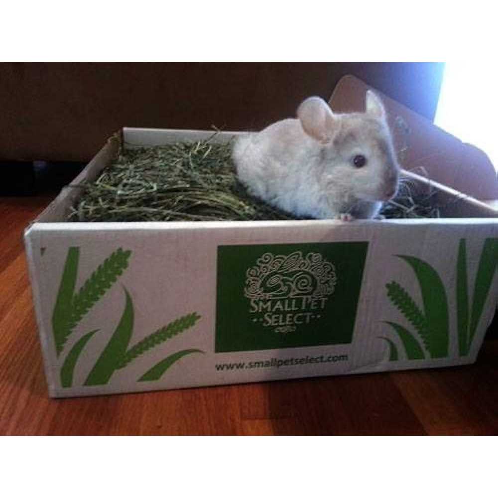 Timothy Hay Pet Food X749