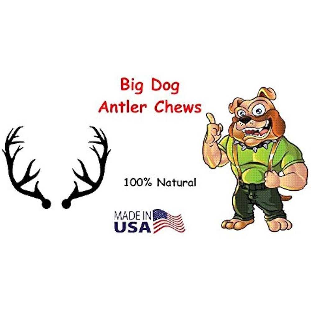 Whitetail Deer Antler Dog Chew Medium R672555